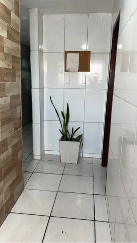 Aluguel Ap Catolé