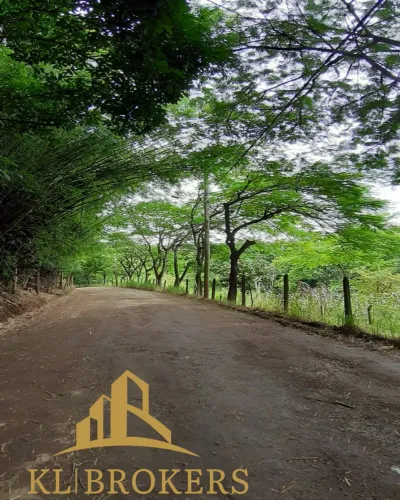 TERRENO RURAL em PINHEIRAL - RJ, KM 2