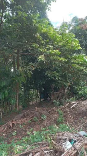 Terreno de 500.000 m²