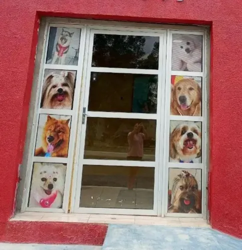 Porta de vidro e alumínio