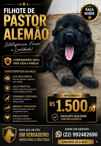 Filhotes de pastor alemão 