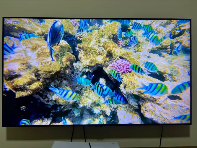 Tv Samsung 55 polegadas 4k modelo UN55TU8000GXZD