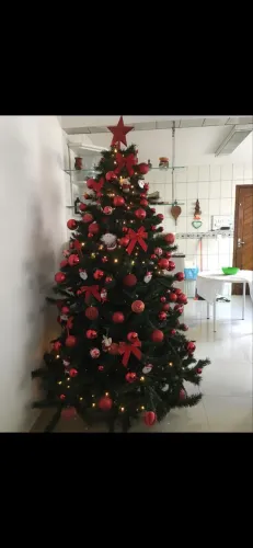 Árvore de Natal 2,10m