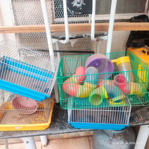 Gaiolas Hamster - índia