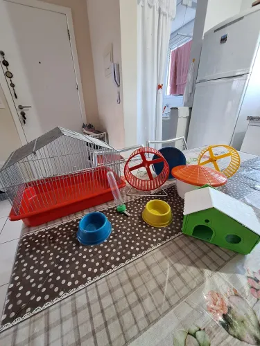 Casa e Acessórios para Hamster