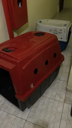 Casinha de transporte para pets