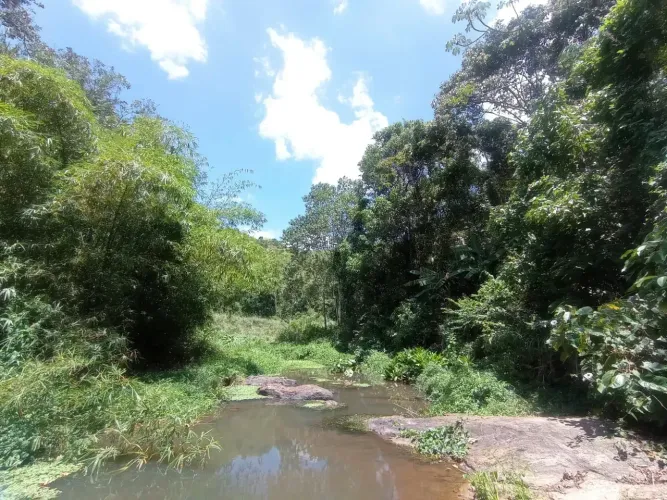 Terreno à venda com 4 hectares em Pacoti! R$ 350mil!