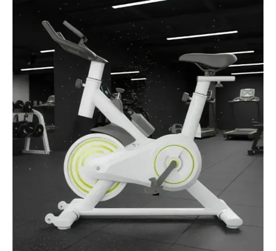Bicicleta Spinning Exercícios Cardo Ergometrica Compacta