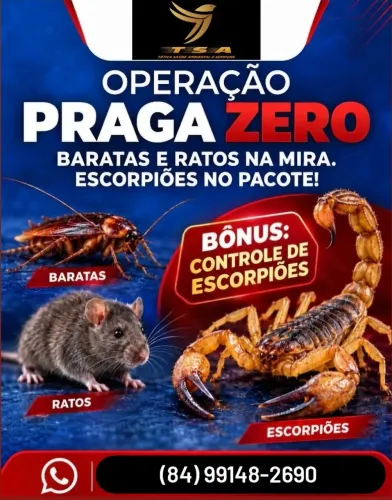 DEDETIZAÇÃO COMPLETA PROMOÇÃO