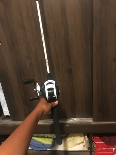 carretilha de pesca com vara