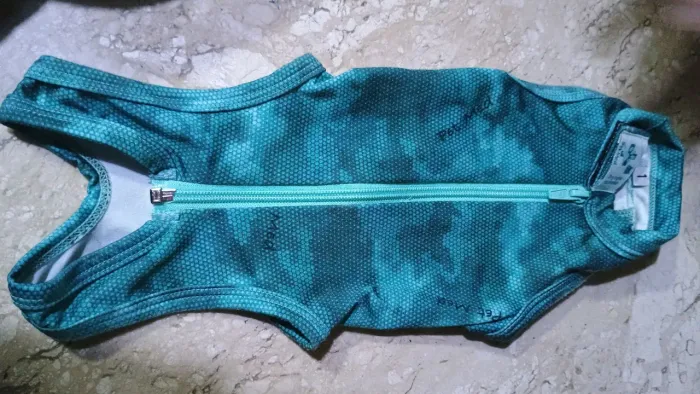 Roupa pós cirúrgica para gata
