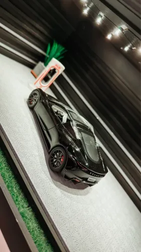 Miniatura Tesla Roadster 1:24 s/cx 