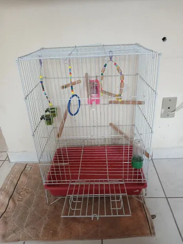 Vendo Gaiola