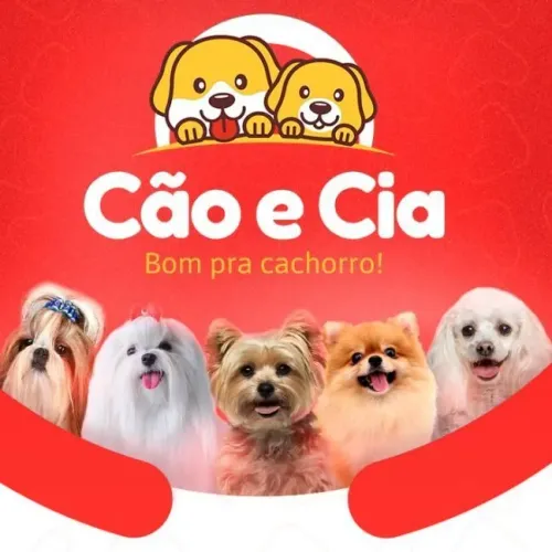 Canil Cão e Cia , mais de 40 anos de criação responsável @canilcaoeciaoficial 