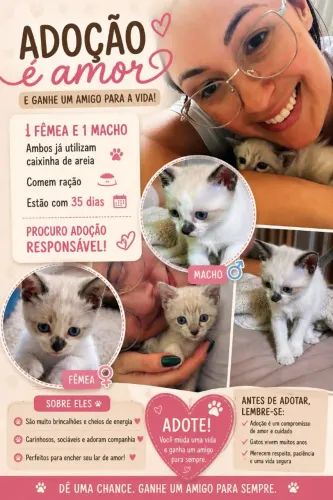 Adoção 