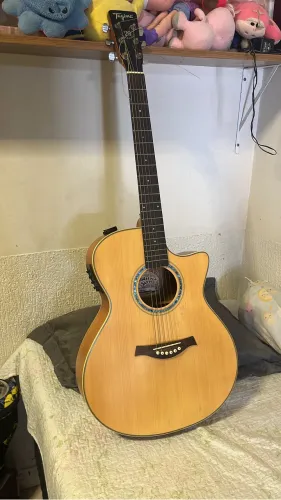 Violão Tagima Woodstock Séries