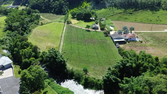 Sitio com bela casa em Santo Amaro da Impertriz!