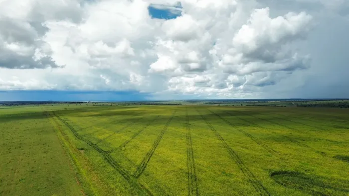 Fazenda à venda no Mato Grosso 