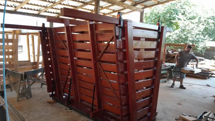 Balança para bovinos 