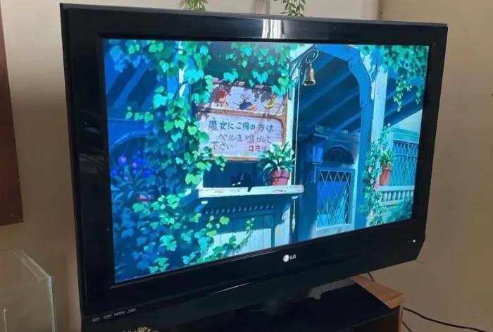 TV LG HDMI Liquid Digital Display