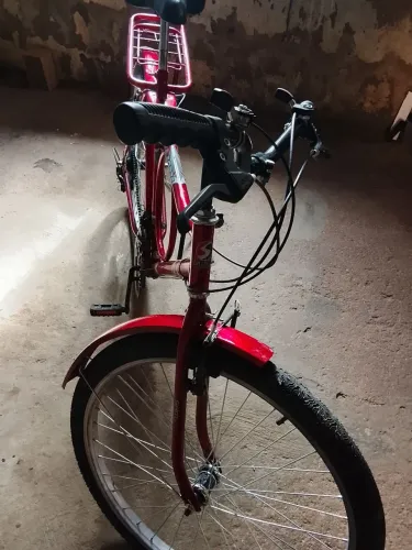 Bicicleta terra forte 