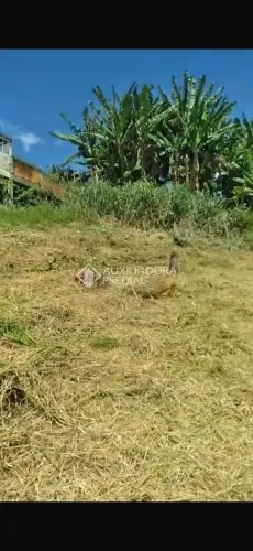 Terreno c/ 166,5m² à venda- Bela Vista, Vale Verde