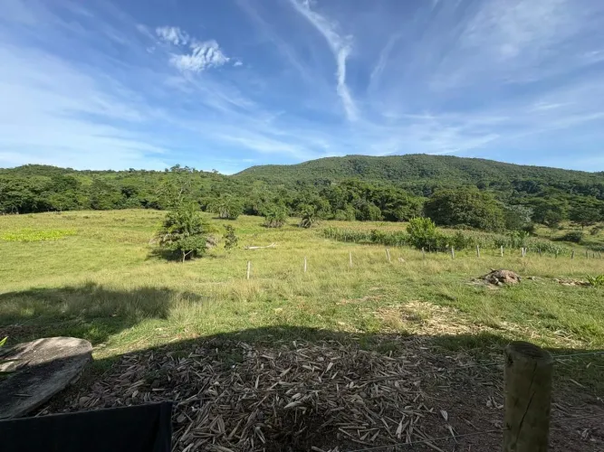 Oportunidade: Sítio em Goiás