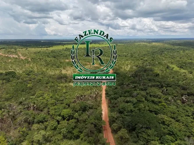 Fazenda Dupla Aptidão, 40 Alqueires, Bruta.