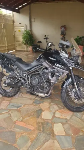 Tiger800 