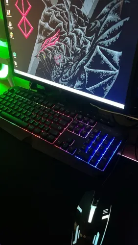 Monitor 19 pol