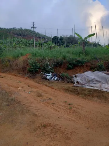 Terreno em Alfredo Chaves