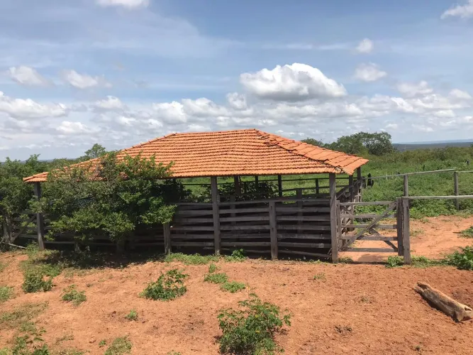 Fazenda 162 Alqueires/70% Mecanizada..Aceita imóvel urbano/veículo ..