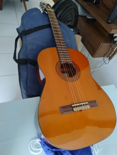 Vendo violão