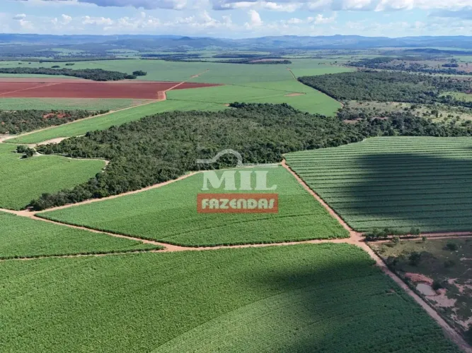 Fazenda 131,7 alqueires (637,4 hectares) São Luiz do Norte - Go