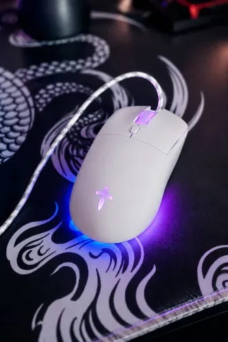 Mouse gamer