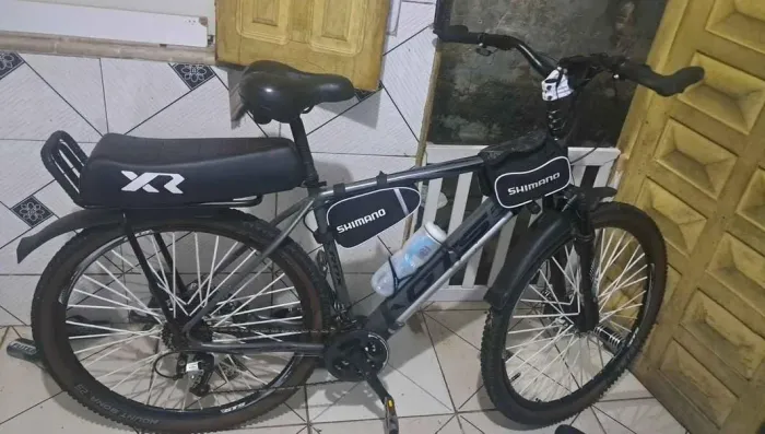 Bicicleta aro 29