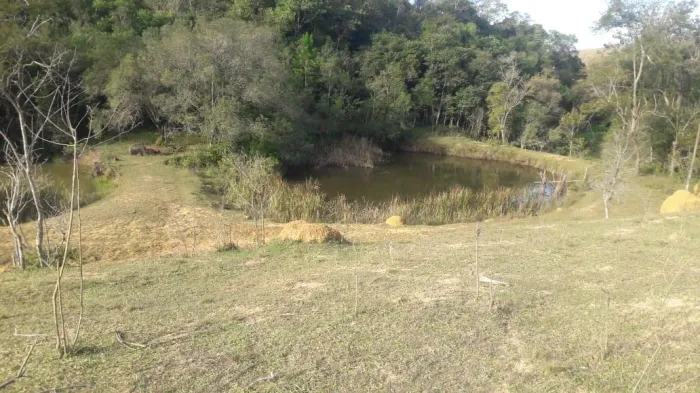 Sítio 18 Alqueires e Meio, 3 Tanques com Peixe, Nascentes, Casa Sede, 3 Casas Caseiro, Pas