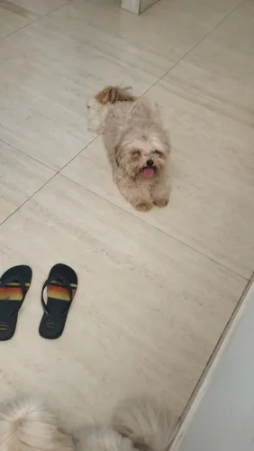 doação