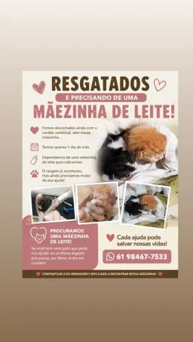 Procuro mãezinha de leite - URGENTE!!!