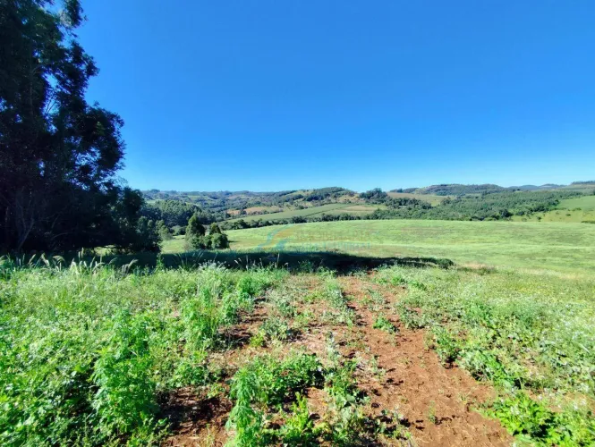 Fazenda à venda, 907500 m² por R$ 8.000.000,00 - Loteamento Bertuol - Guaraniaçu/PR