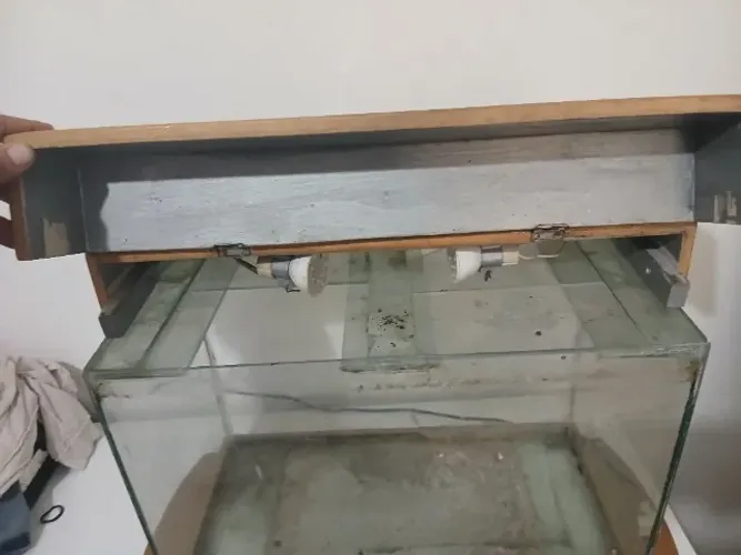 Acquario médio