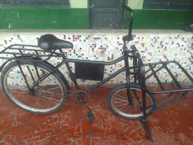Bicicleta cargueira