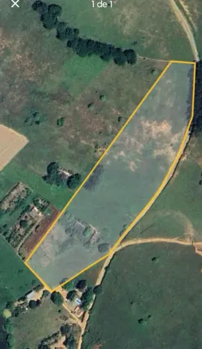 Rodeiro MG, terreno rural perto Carioca Móveis