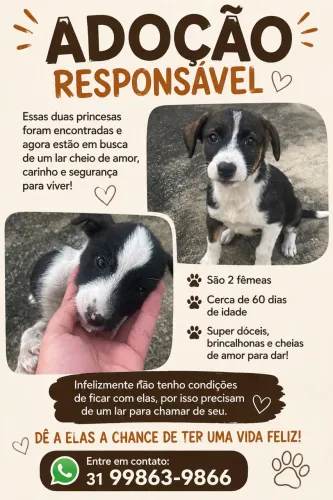 Adoção