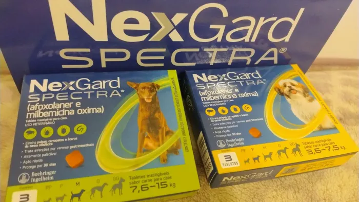 Nexg@rd com 3