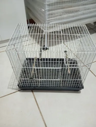 Gaiola