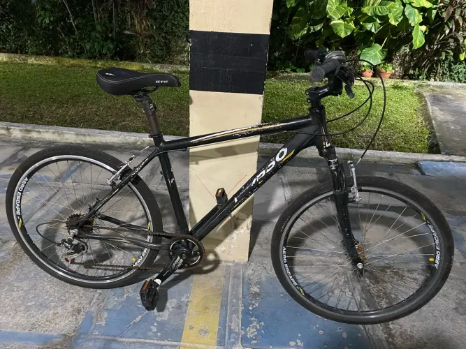 Bicicleta