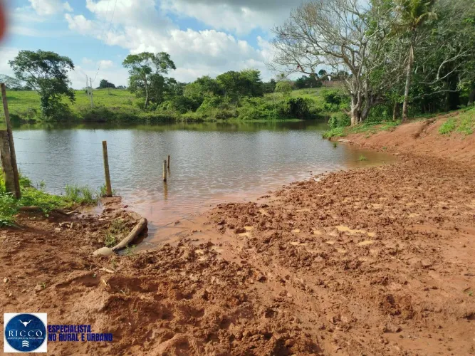 Chácara à Venda em Araçu GO | 3,5 Alqueires com Represa