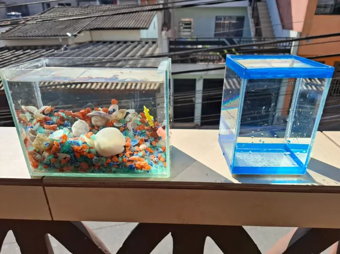 2 aquários de peixe beta - R$20 o kit com os 2