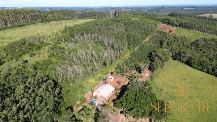 Sítio com 2,2ha, casa com 3 dormitórios e mato de eucalipto em Triunfo